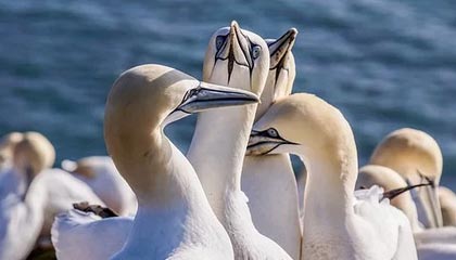 和你一起品味售后完善的办公楼装修专业公司,优势在哪?