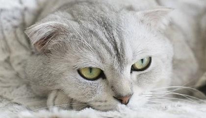 谁说在哪办公都一样？年底复盘：委屈从不骗人