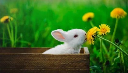 在哪能找到沈阳办公隔断解决方案