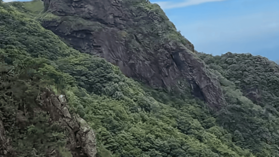 失联5天，遗体被找到！深圳警方初步排除刑事案件