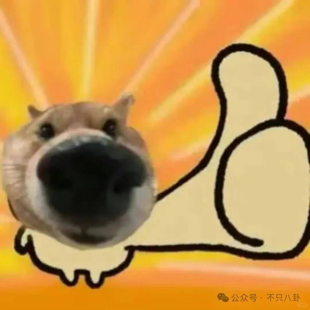 姐终于离了，这次总算是摆脱不靠谱的老公和强势的婆婆了！