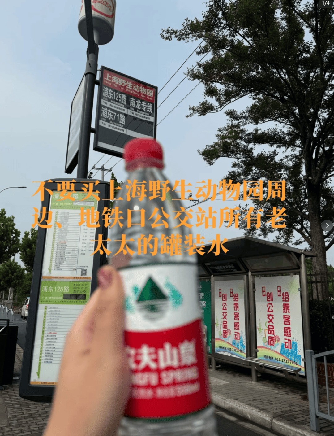 恶心!上海知名景区门口有人卖不明饮料,不少游客中招,城管部门已介入调查