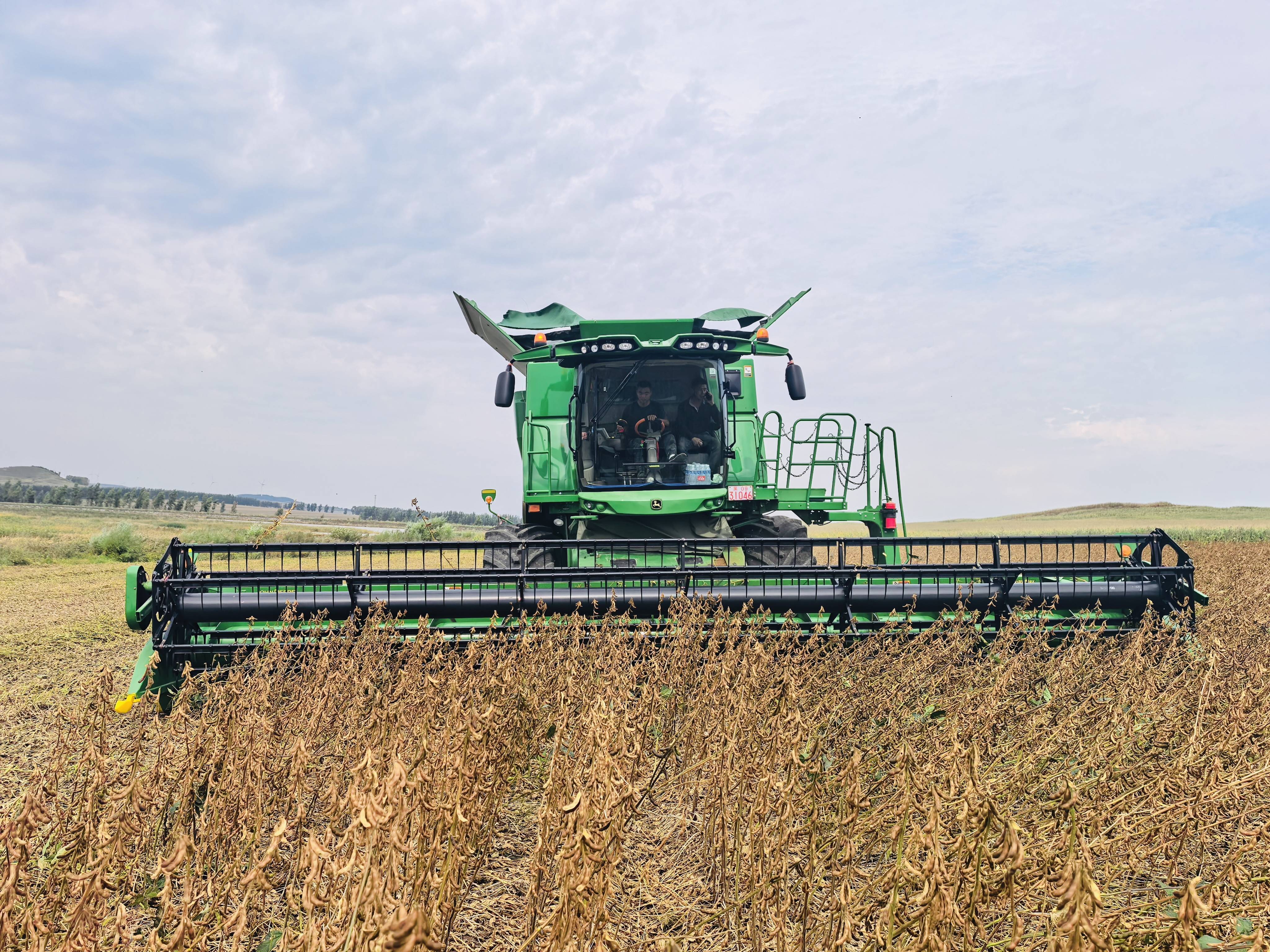 在中国产粮第一大省见证“收获季”