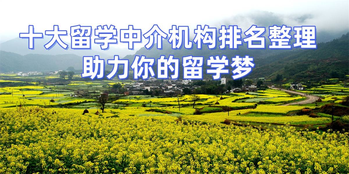 武汉留学机构都集中在哪里