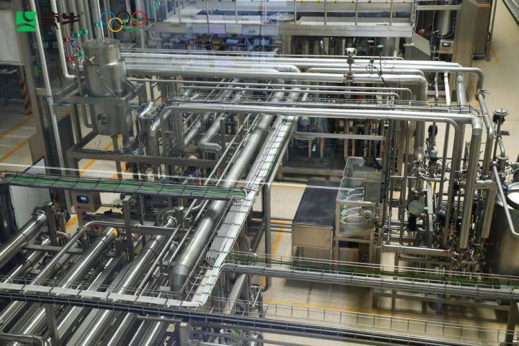 全球乳业智造新标杆在哪里？海外博主探秘蒙牛低温（武汉）工厂