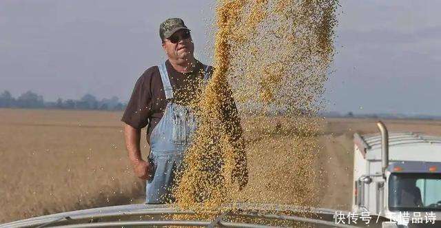 不买美国大豆，就不买中国油，特朗普技穷了，大豆战争怕是要输了