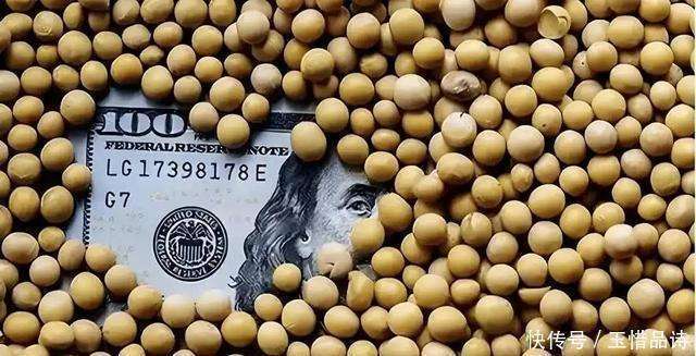 不买美国大豆，就不买中国油，特朗普技穷了，大豆战争怕是要输了