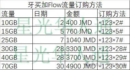 2025牙买加Flow运营商手机话费流量充值攻略 | 官网 | APP | 常用话费流量余额查询 | 流量订购介绍